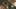 Game screenshot thumbnail 1
