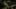 Game screenshot thumbnail 1