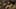 Game screenshot thumbnail 5