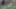 Game screenshot thumbnail 5