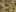 Game screenshot thumbnail 1