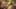 Game screenshot thumbnail 5