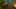 Game screenshot thumbnail 2
