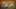 Game screenshot thumbnail 4