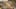 Game screenshot thumbnail 5