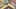 Game screenshot thumbnail 1