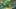 Game screenshot thumbnail 2