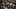 Game screenshot thumbnail 4