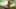 Game screenshot thumbnail 1