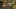 Game screenshot thumbnail 2
