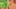 Game screenshot thumbnail 5