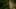 Game screenshot thumbnail 1