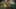 Game screenshot thumbnail 4