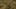 Game screenshot thumbnail 2