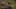 Game screenshot thumbnail 1