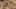 Game screenshot thumbnail 2