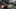 Game screenshot thumbnail 2