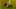 Game screenshot thumbnail 1
