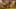 Game screenshot thumbnail 2