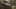 Game screenshot thumbnail 2