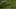 Game screenshot thumbnail 2