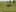 Game screenshot thumbnail 3