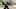 Game screenshot thumbnail 2