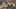 Game screenshot thumbnail 1