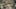 Game screenshot thumbnail 4