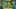 Game screenshot thumbnail 1