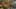 Game screenshot thumbnail 3