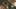Game screenshot thumbnail 2
