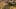 Game screenshot thumbnail 5