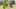Game screenshot thumbnail 5