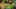 Game screenshot thumbnail 5