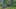 Game screenshot thumbnail 1