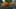 Game screenshot thumbnail 4