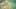 Game screenshot thumbnail 1