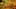 Game screenshot thumbnail 5