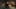 Game screenshot thumbnail 4