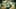 Game screenshot thumbnail 1