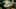 Game screenshot thumbnail 2