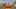 Game screenshot thumbnail 3