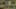 Game screenshot thumbnail 5