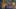 Game screenshot thumbnail 1