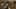 Game screenshot thumbnail 2