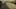 Game screenshot thumbnail 3