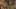 Game screenshot thumbnail 5