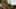 Game screenshot thumbnail 5