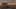 Game screenshot thumbnail 1